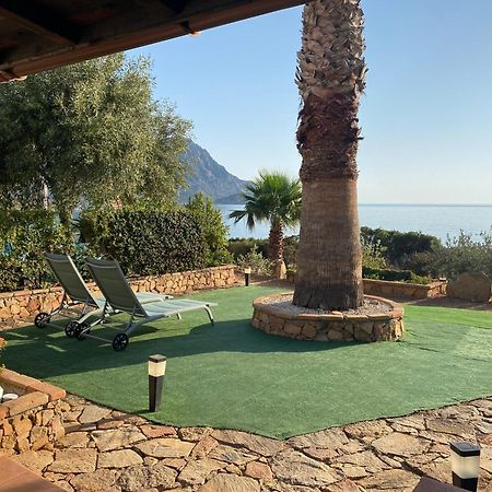 Il Bacio Del Sole Apartman Tertenìa Kültér fotó