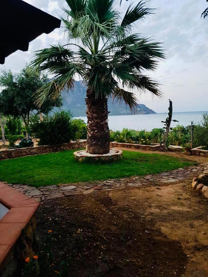 Il Bacio Del Sole Apartman Tertenìa Kültér fotó