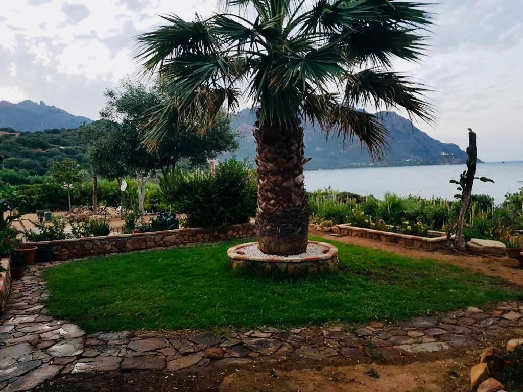 Il Bacio Del Sole Apartman Tertenìa Kültér fotó